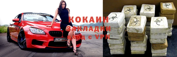 индика Абаза