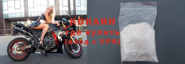 индика Абаза