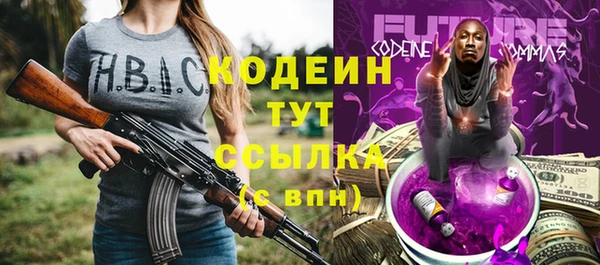 индика Абаза
