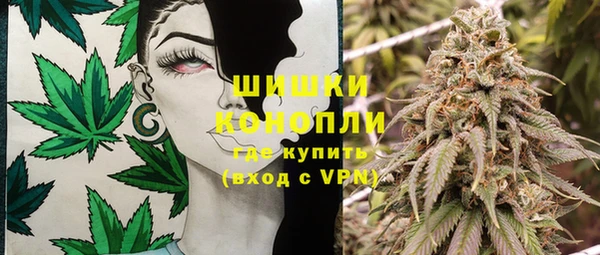 марки lsd Новозыбков