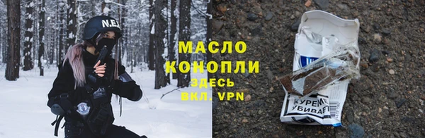 индика Абаза