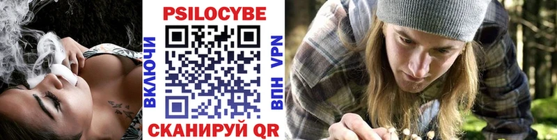 Псилоцибиновые грибы Psilocybine cubensis дарнет шоп Правдинск