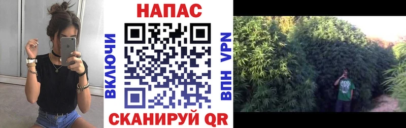 Конопля Amnesia  дарнет шоп  гидра tor  Правдинск 